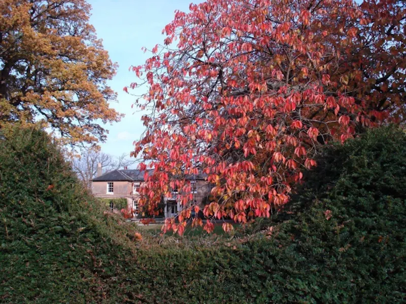 Idyllic old rectory in Balcombe, A1219 (photo 36)