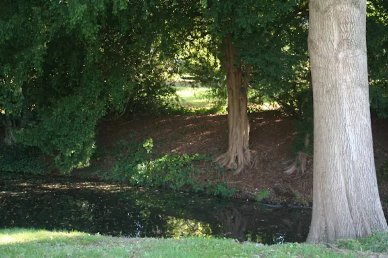 Idyllic old rectory in Balcombe, A1219 (photo 38)
