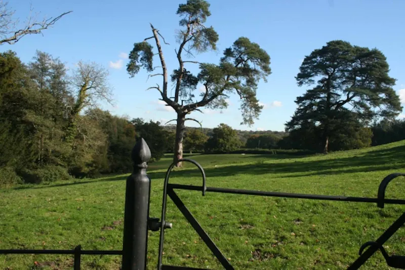 Countryside at Idyllic old rectory in Balcombe, A1219 (photo 43)