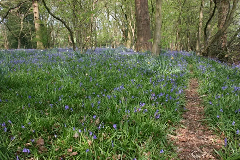 Film location E329 in Surrey (photo 59)