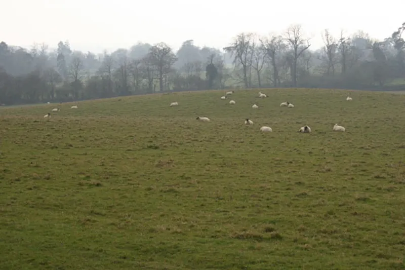 Film location E329 in Surrey (photo 61)