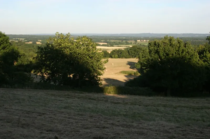 Countryside at Film location E329 in Surrey (photo 62)