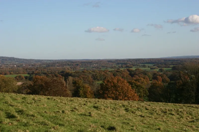 Film location E329 in Surrey (photo 63)