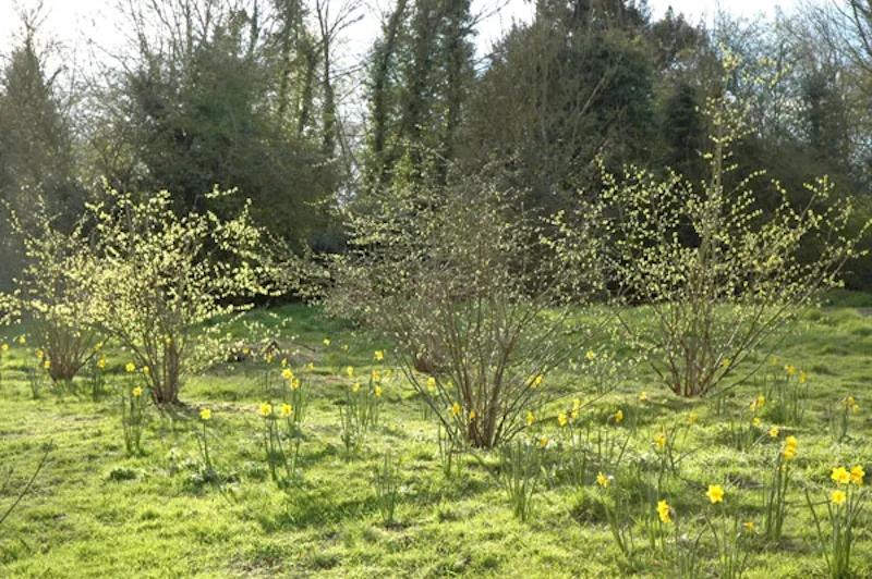 Re-styled rectory in Cottered, A1222 (photo 45)