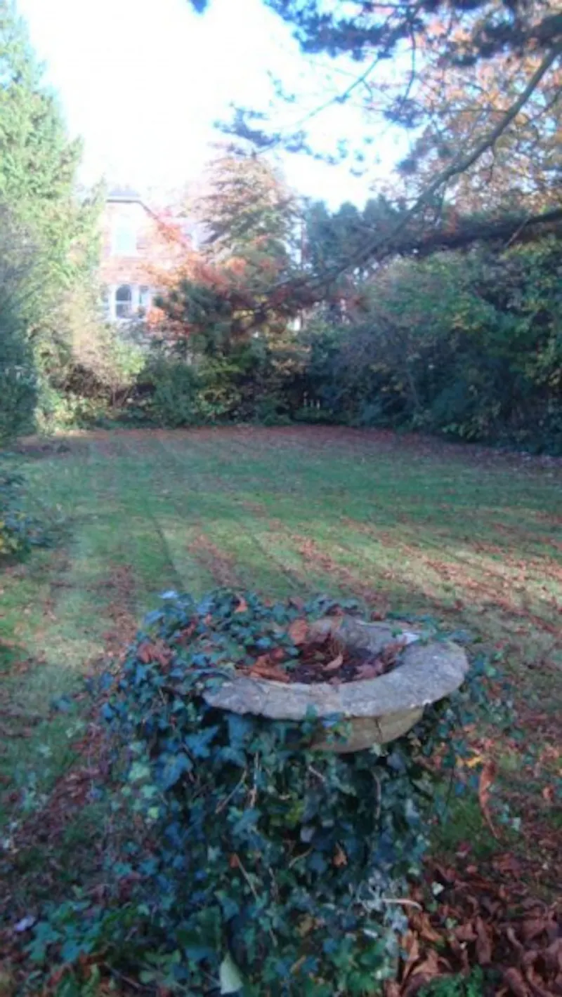 Garden at Film location C794 in Dorset (photo 21)