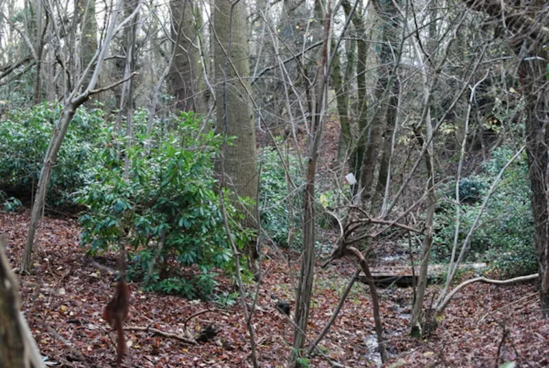 Film location C793 in Berkshire (photo 7)