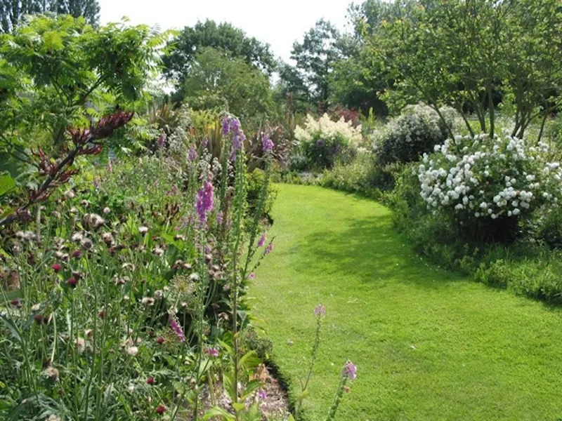 Film location D1323 in Essex (photo 21)