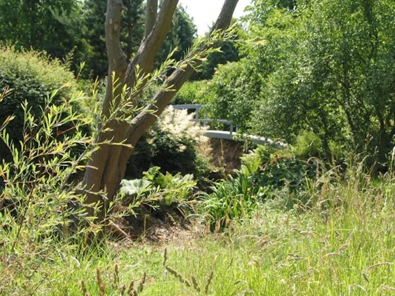 Film location D1323 in Essex (photo 23)