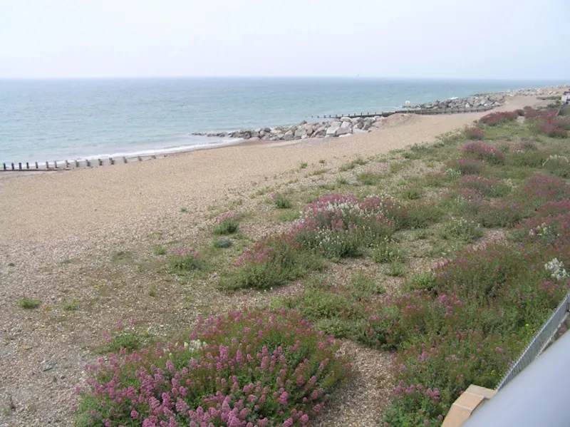 Modern Lancing beach house, C797 (photo 15)