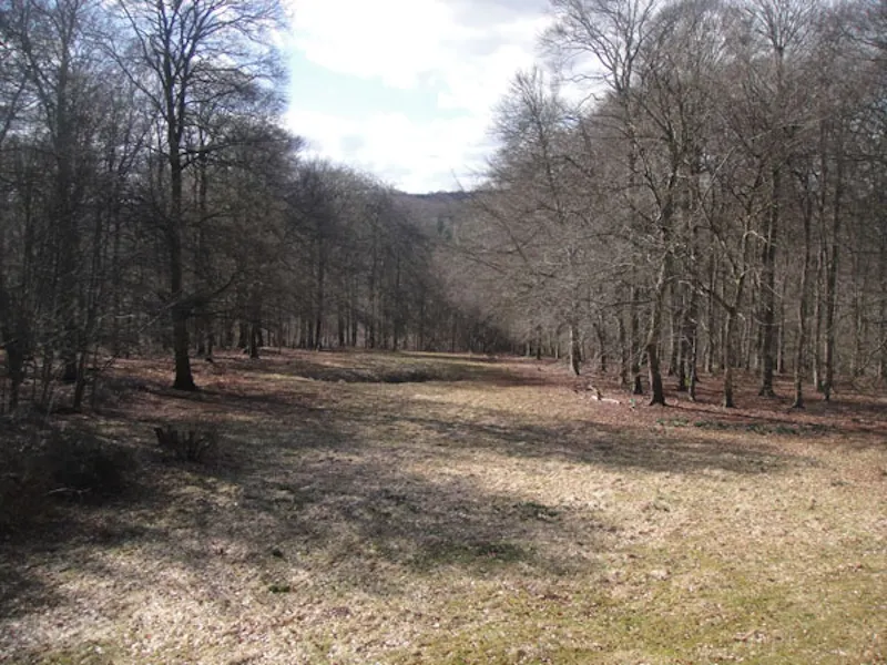 Country property in Henley, D2018 (photo 11)