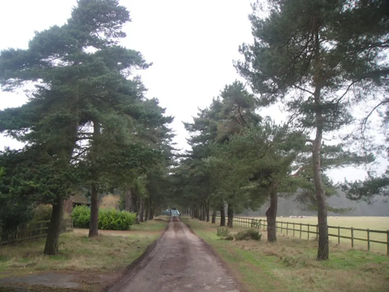 Driveway at Country property in Henley, D2018 (photo 14)