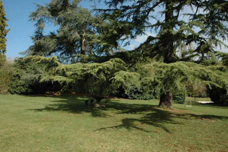 Garden at Country Shiplake ballroom home, C796 (photo 35)