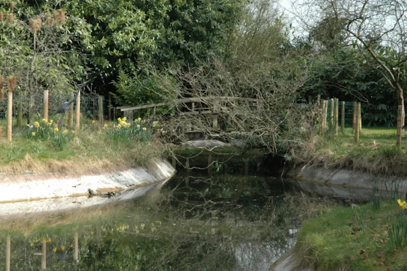 Pond at Country Shiplake ballroom home, C796 (photo 40)
