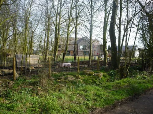 Modern barn in Tollesbury, K329