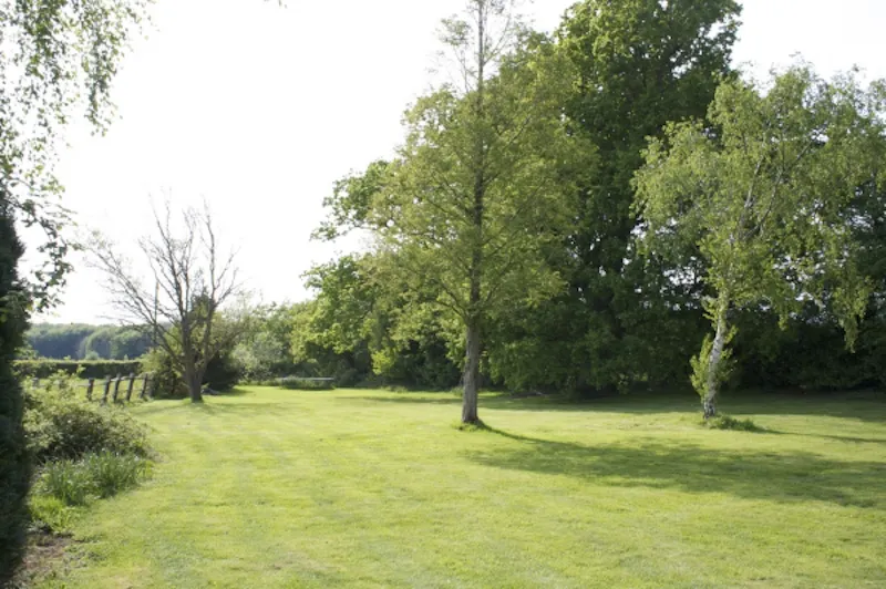 Garden at Spithurst modern house, K331 (photo 19)