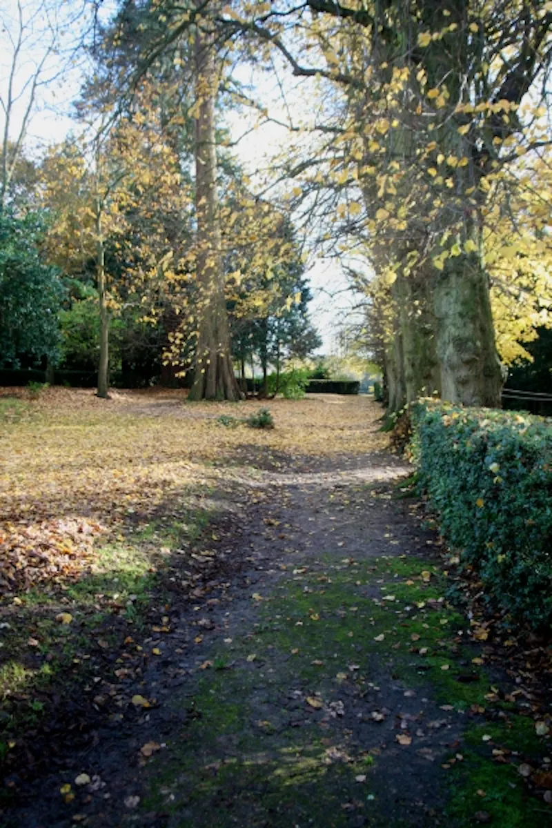 Film location J207 in Surrey (photo 12)