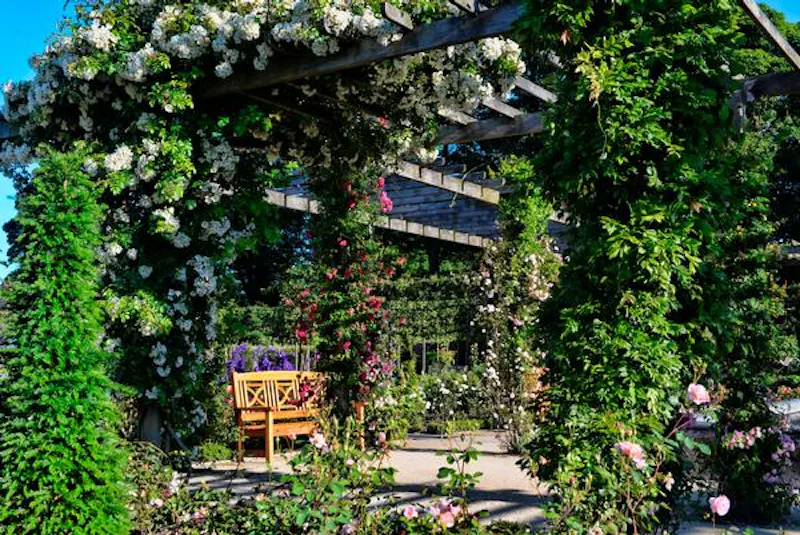 Alnwick treehouse and gardens, C838 (photo 3)