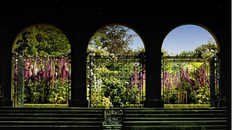 Alnwick treehouse and gardens, C838 (photo 4)
