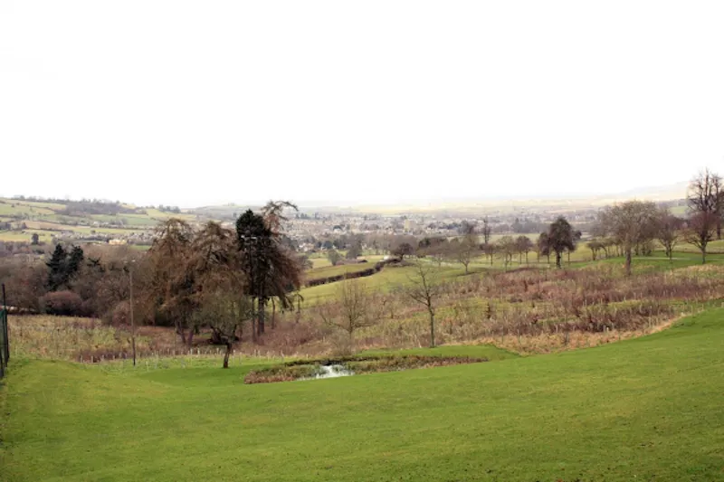 Winchcombe Manor house, B1525 (photo 21)