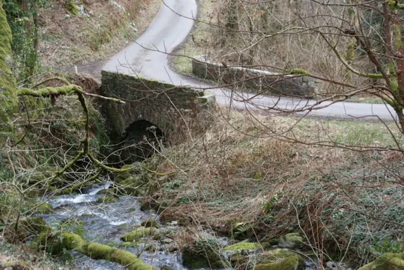 Coastal Scottish estate, A1230 (photo 11)