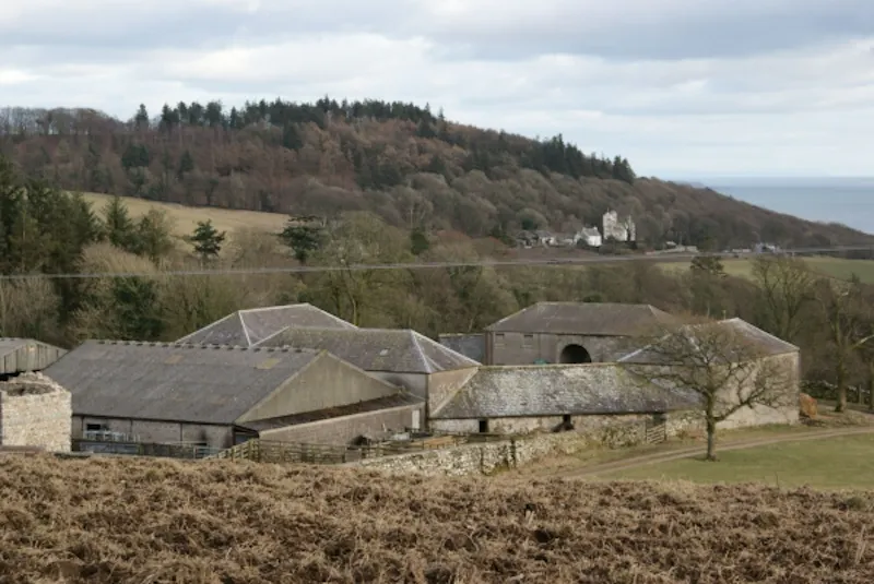 Views - country at Coastal Scottish estate, A1230 (photo 18)