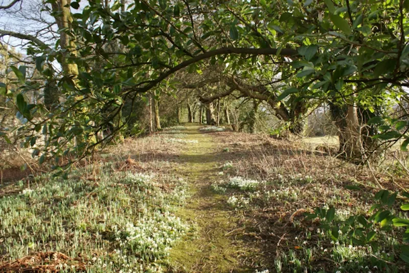 Coastal Scottish estate, A1230 (photo 24)
