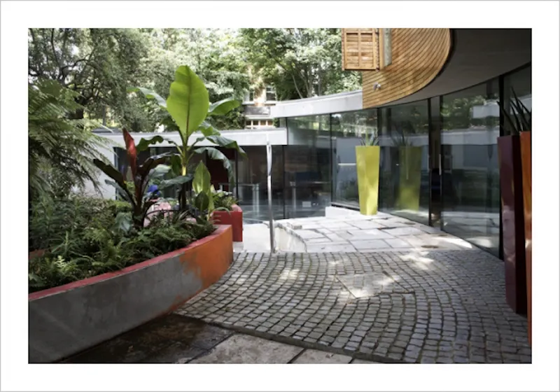 Garden at Curved Clapham South house, K258 (photo 15)