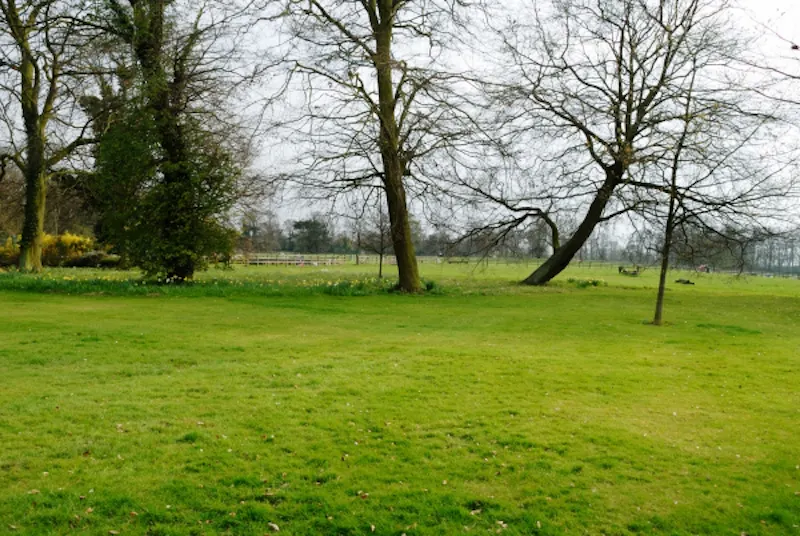 Countryside at Grand Scunthorpe country house, A1232 (photo 57)