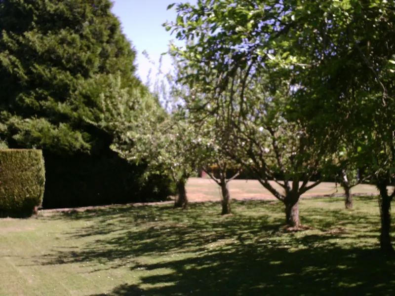 Film location L622 in Essex (photo 21)