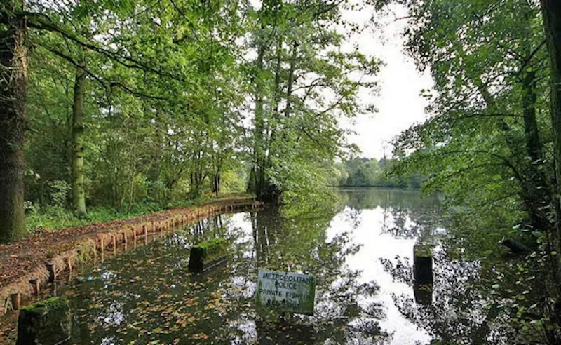 Lake at Opulent Wrotham stately, A40 (photo 35)