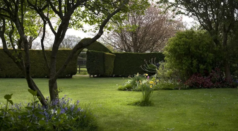 Garden at Film location C800 in Hampshire (photo 24)