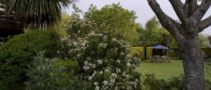 Film location C800 in Hampshire (photo 28)