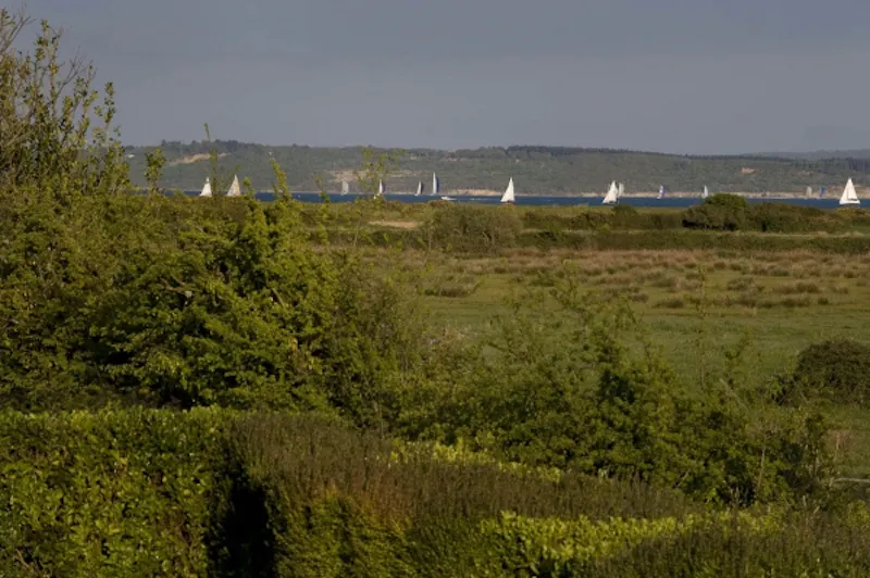 Film location C800 in Hampshire (photo 30)
