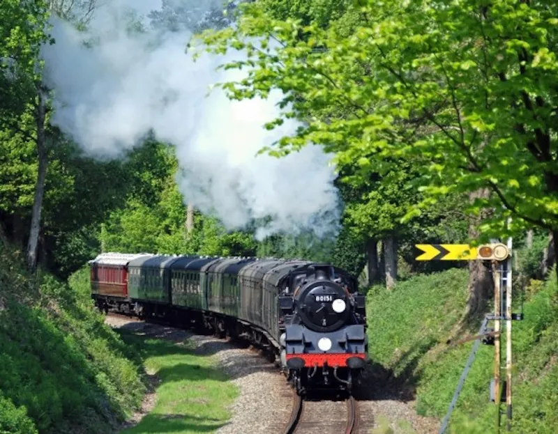 Heritage steam railway , V145 (photo 9)