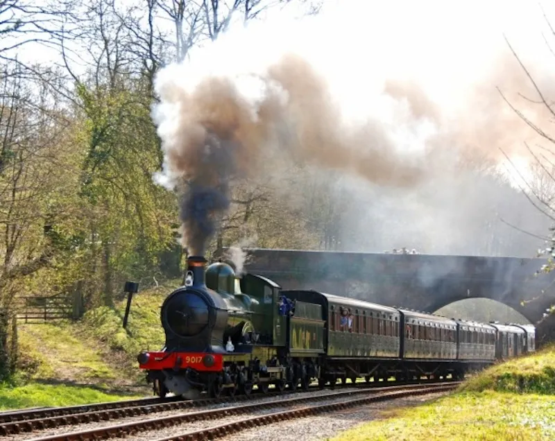 Heritage steam railway , V145 (photo 10)