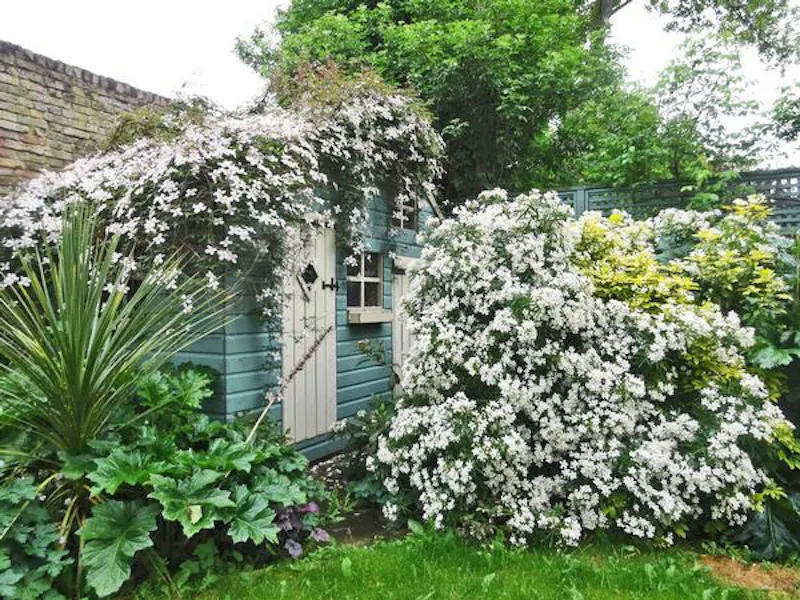 Summer house at Colourful Clapham townhouse, A1234 (photo 48)