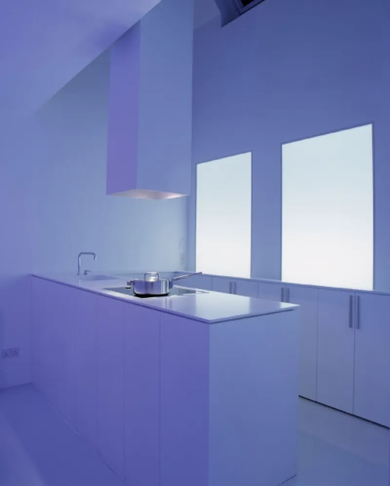 Kitchen at RIBA winning Bayswater house, K341 (photo 4)