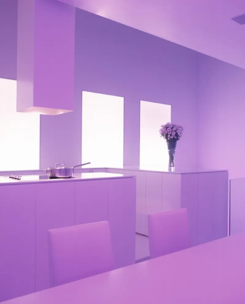 RIBA winning Bayswater house, K341 (photo 7)