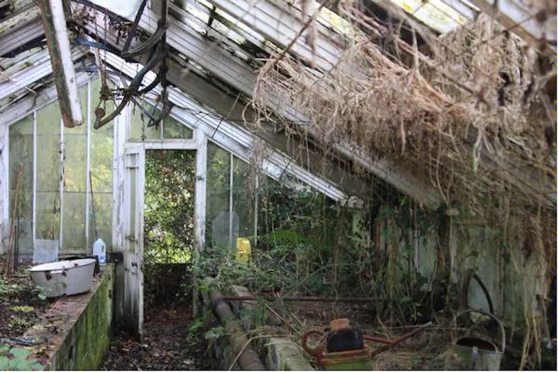 Greenhouse at Authentic Petersfield house, A1243 (photo 43)