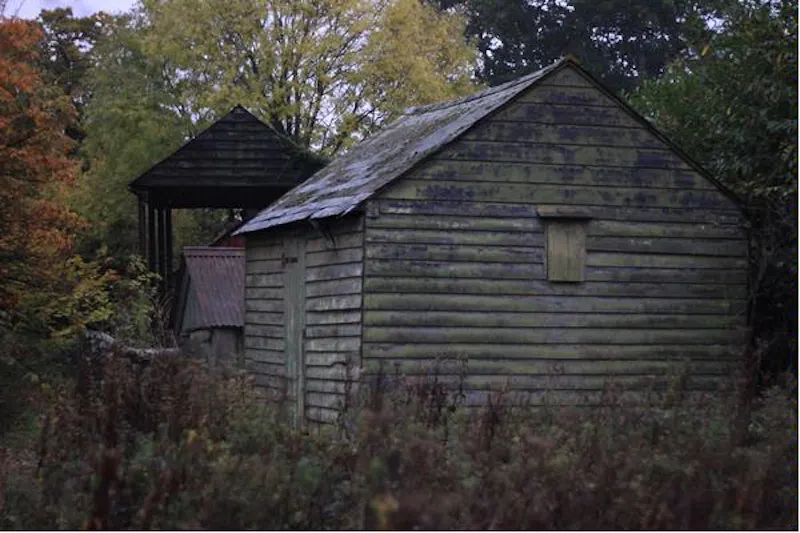 Shed at Authentic Petersfield house, A1243 (photo 45)