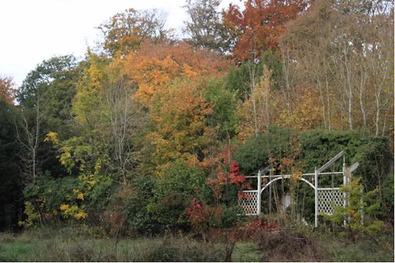Garden at Authentic Petersfield house, A1243 (photo 46)
