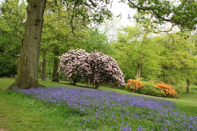 Calne country house & gardens, A45 (photo 39)