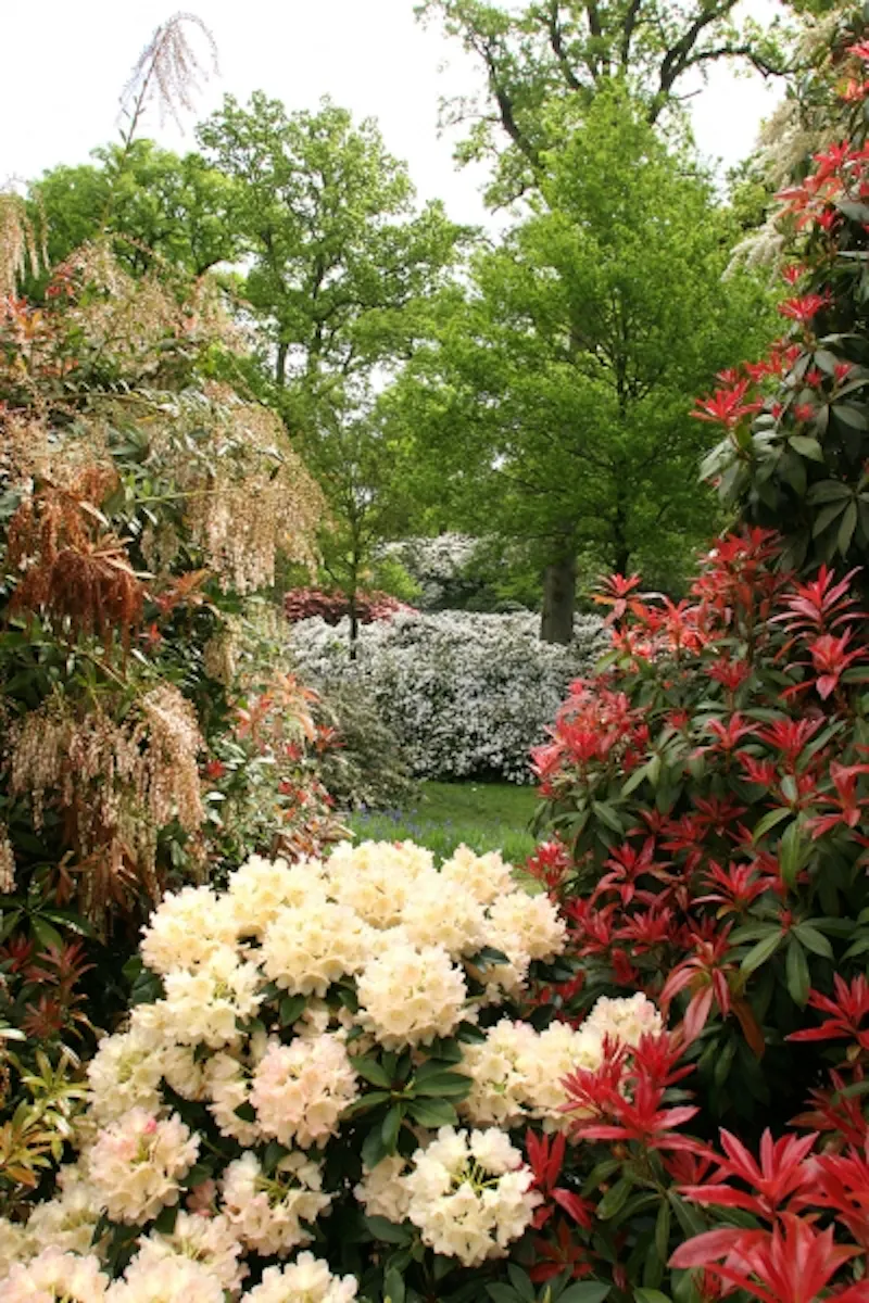 Garden - wild at Calne country house & gardens, A45 (photo 40)