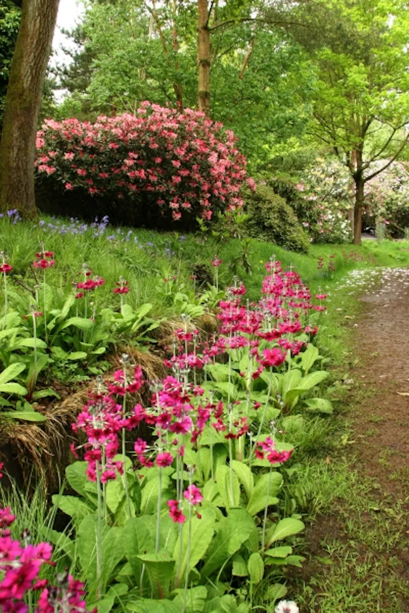 Calne country house & gardens, A45 (photo 41)