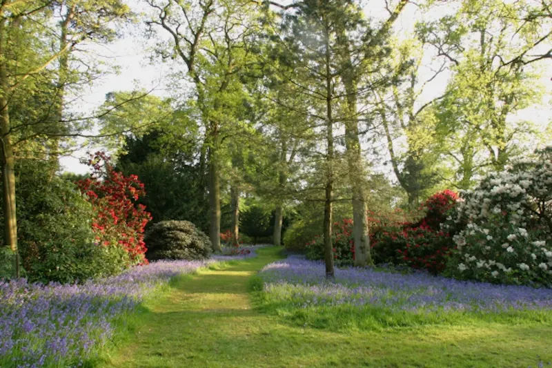 Garden at Calne country house & gardens, A45 (photo 42)