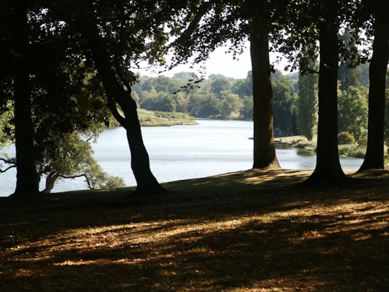 Calne country house & gardens, A45 (photo 43)