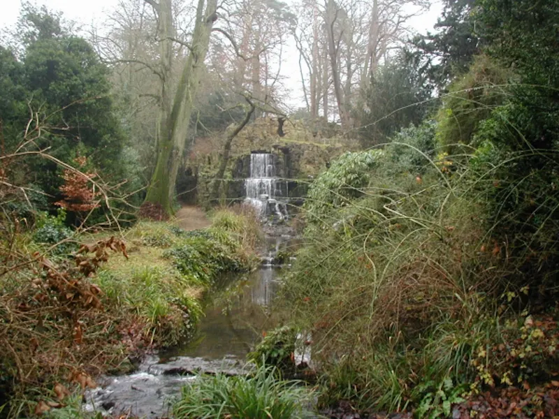 Garden - wild at Calne country house & gardens, A45 (photo 44)