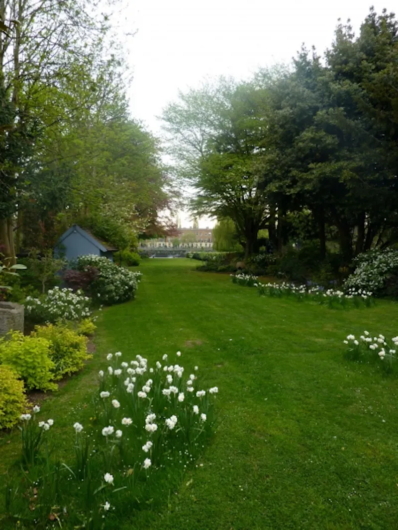 Film location D2044 in Surrey (photo 16)