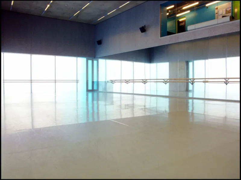 Modern Greenwich dance complex, V146 (photo 27)