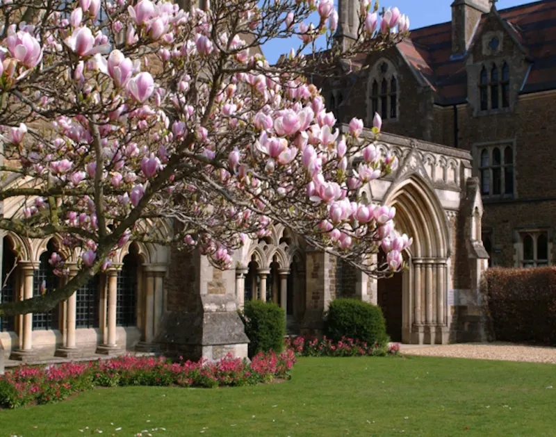Film location J4 in Surrey (photo 6)